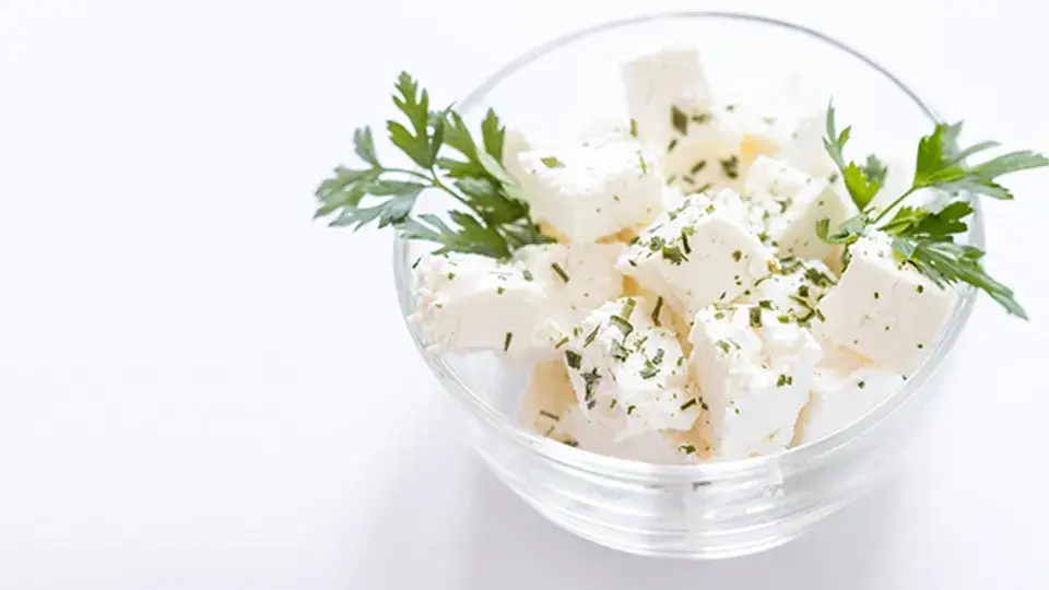 ペルシアンパニール