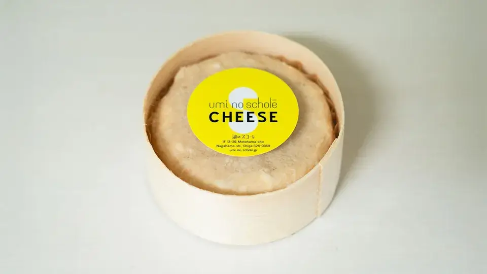 みそフロマージュ